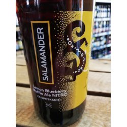 Salamander Lemon Blueberry Muffin Ale Nitro